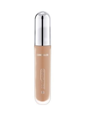 LR Signature Concealer Light